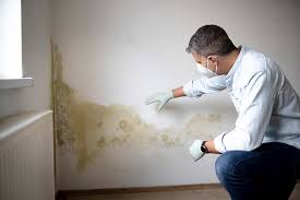 Best Industrial Mold Remediation  in USA